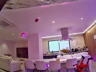 voyeurcam casa salsa fishtank